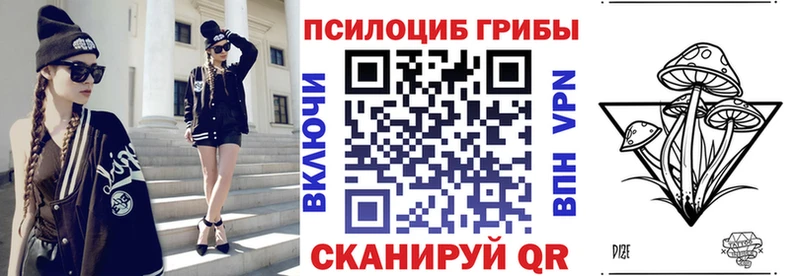 Галлюциногенные грибы Psilocybe  Партизанск 